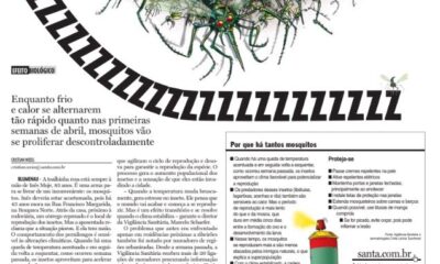 Efeito biológico por que tanto mosquito em Blumenau Cristian Weiss Cristian Edel Weiss Jornal de Santa Catarina jornalista de dados multimídia Alemanha Brasil