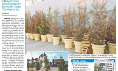 Paisagismo urbano em Blumenau ciprestes Rua XV de Novembro abandonadas na Vila Germânica CDL fará manutenção Cristian Weiss Cristian Edel Weiss Jornal de Santa Catarina RBS NSC Comunicação