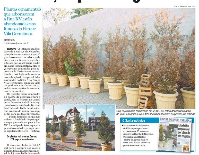 Paisagismo urbano em Blumenau ciprestes Rua XV de Novembro abandonadas na Vila Germânica CDL fará manutenção Cristian Weiss Cristian Edel Weiss Jornal de Santa Catarina RBS NSC Comunicação