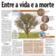 Tamarindo entre vida e a morte ponte do tamarindo meio ambiente árvore centenária antigo tamarindo de Blumenau Cristian Weiss Jornal de Santa Catarina jornalista de dados multimídia Alemanha Brasil